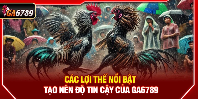 Các lợi thế nổi bật tạo nên độ tin cậy của Ga6789